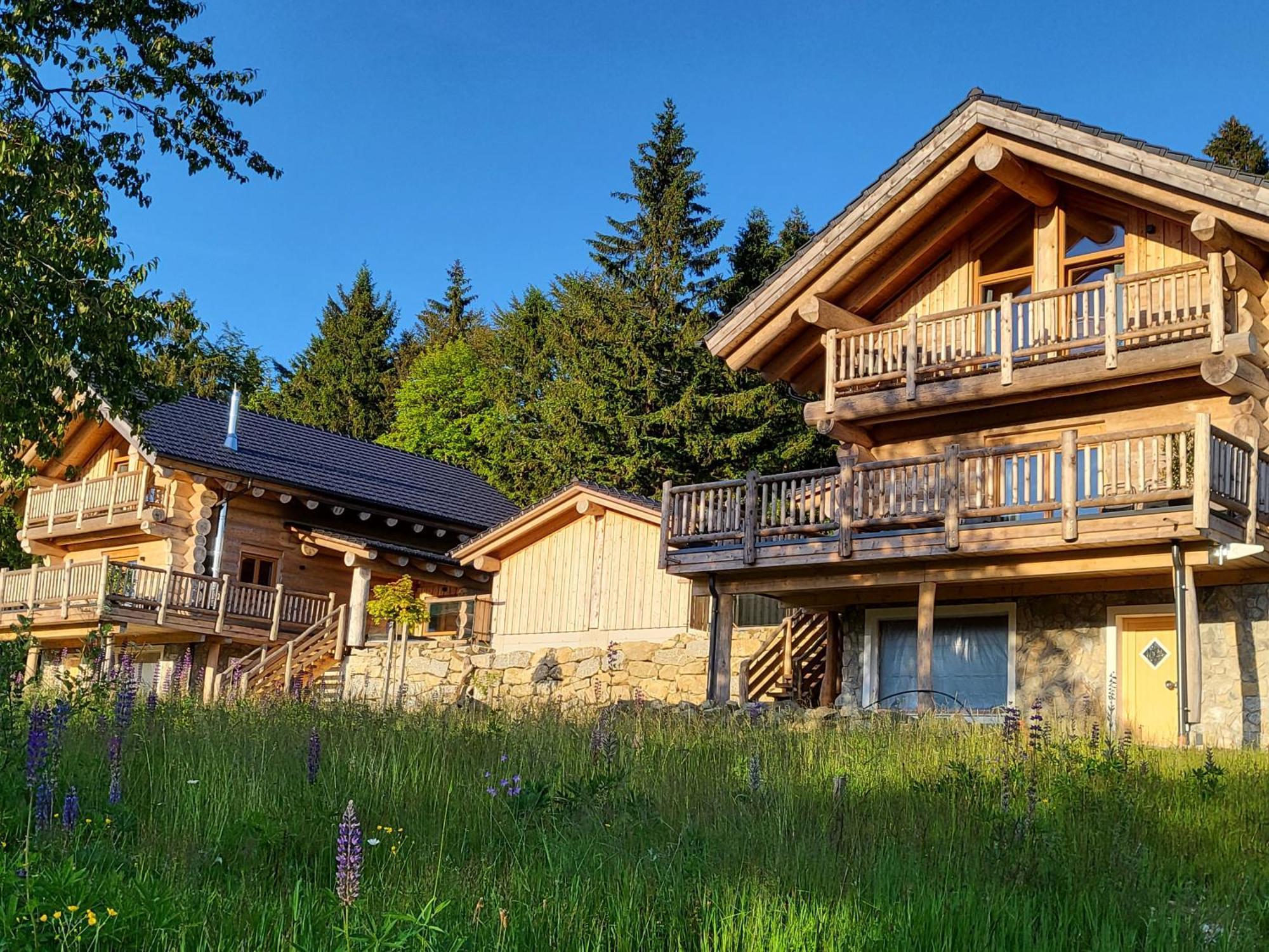 Boehmerwald Lodges Ulrichsberg Eksteriør bilde